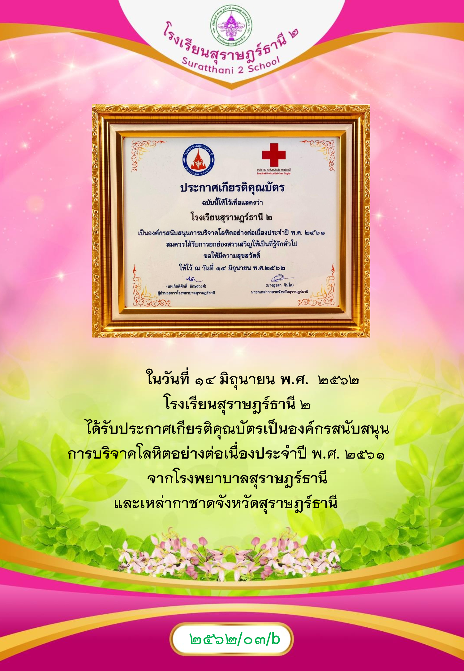 MySurat2